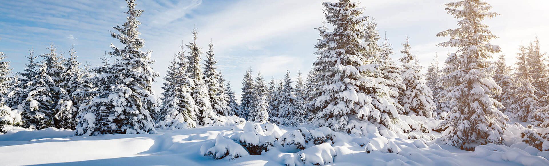Winter & Ski Holidays in Wagrain, Ski amadé